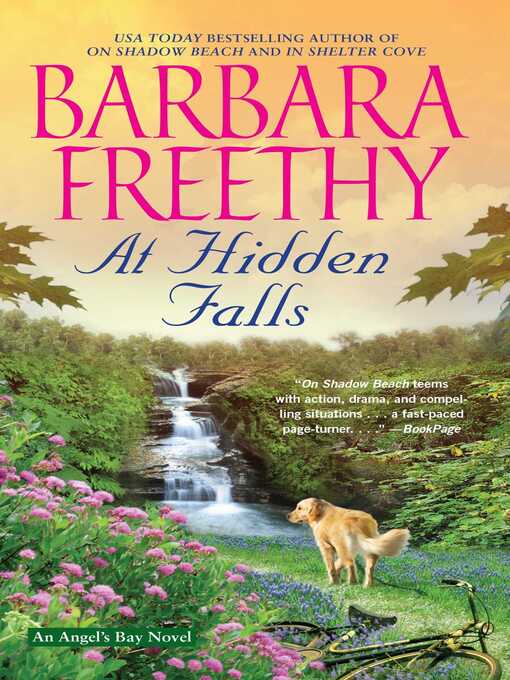 Title details for At Hidden Falls by Barbara Freethy - Wait list